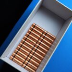 Accucontainers voor energieopslag bij een moderne woning met zonnepanelen en laadpaal.